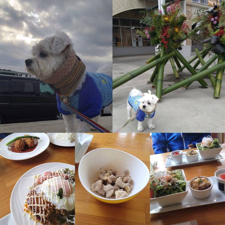 Fe5a3c52 a59b 4686 b235 35cd9919580c 1703775528812