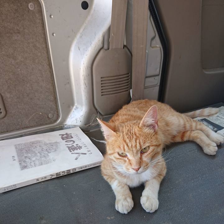 Fe5a417d 2709 4d86 bde3 a75cf8e9f260 1591510756844