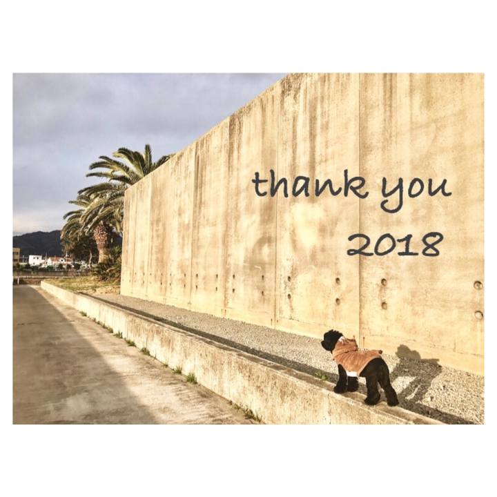 Fe5a5105 215d 4e18 8bab 6f0ad3b3f541 1546230552312