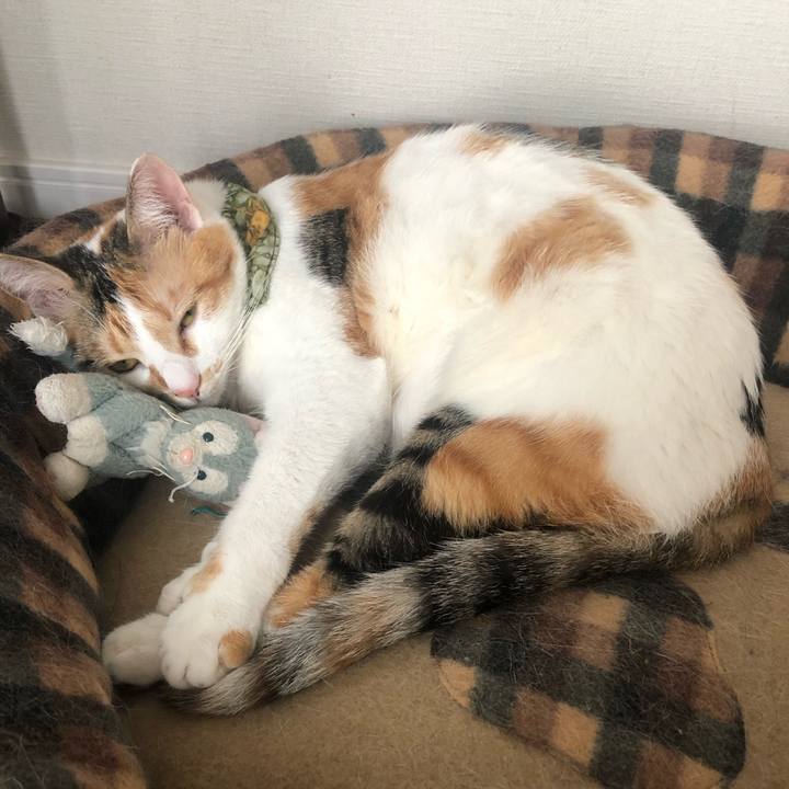 Fe5a85f6 a8e4 48cf ba0e 4a0d509d0451 1593593890025