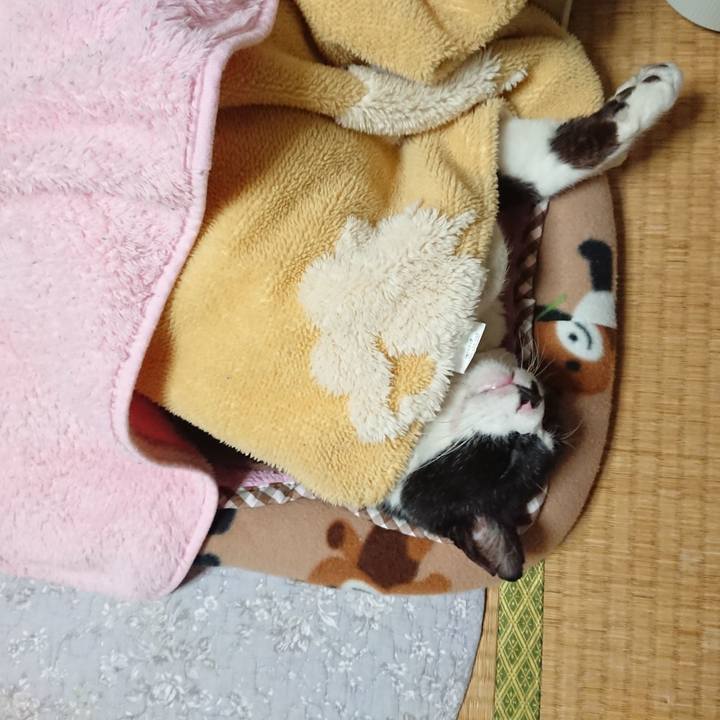 Fe5a8b5c 7c54 4809 bcc9 ddb3da9bc0fd 1639823554175