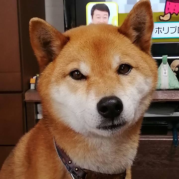 Fe5ad9c3 dcc1 4f20 b1aa 02d11b22aa57 1585702841975