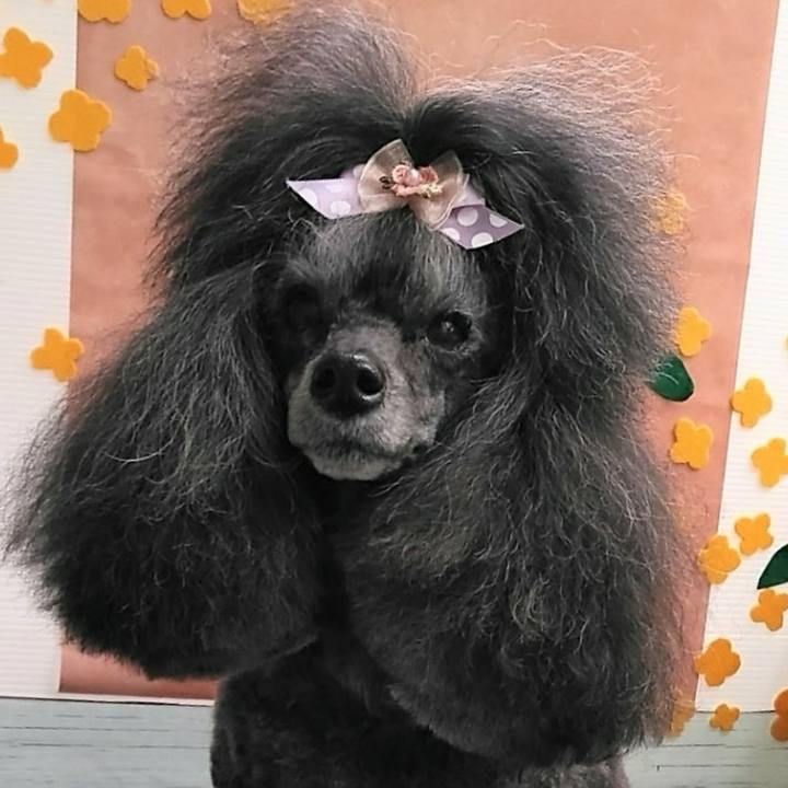 Fe5aeb91 5bd6 4573 9b1b b927808cc37e 1731756755397