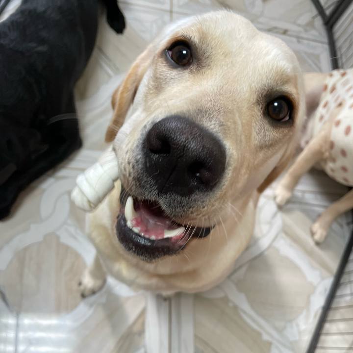 Fe5b0bc9 ff16 4cd2 bb98 56ae44868873 1638102211791