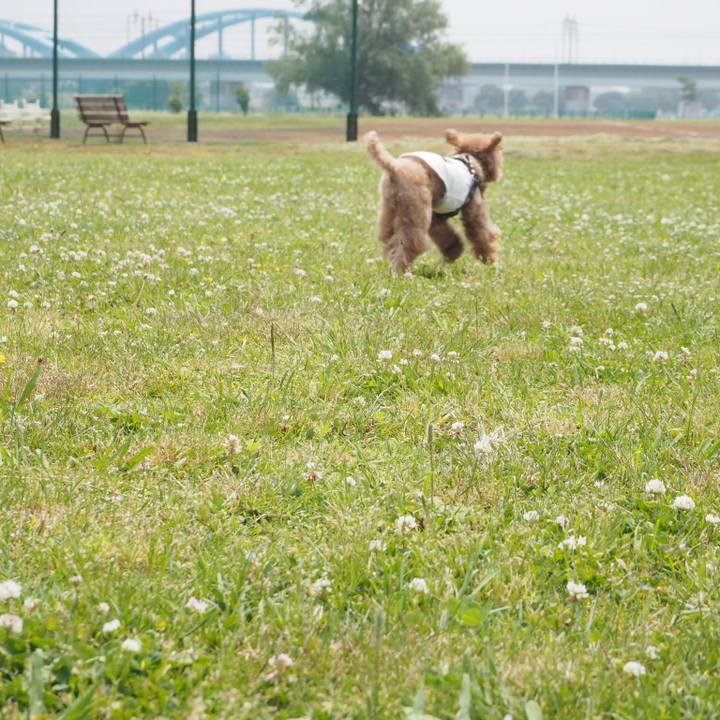 Fe5b12f3 dd56 499d 86ad 147351d07a95 1526613051428