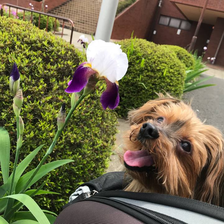 Fe5b5c6d 54e2 46b0 a576 424cdea78a5b 1525513030154