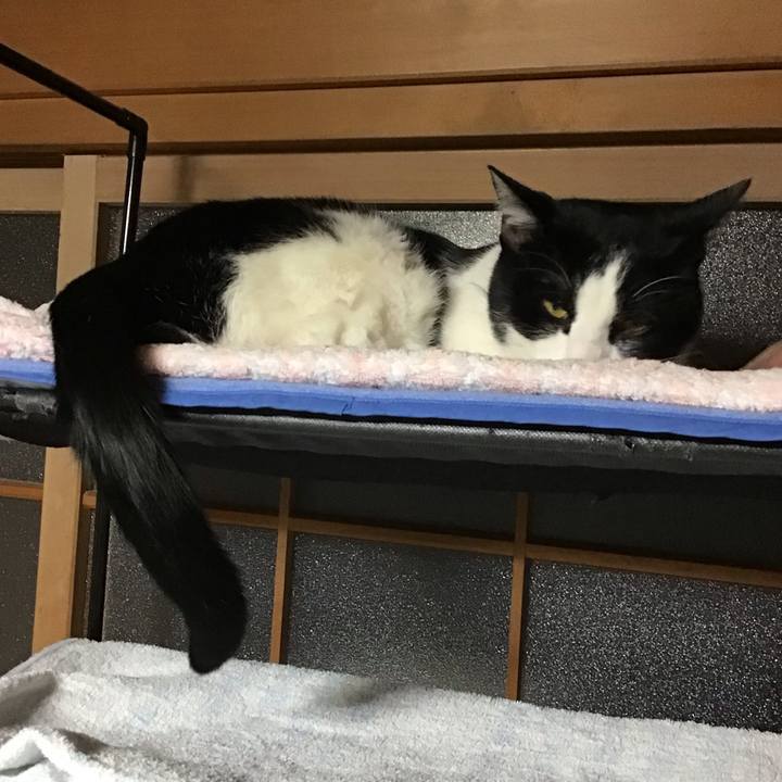 Fe5b62fa c711 480f 92c4 49b8c8f57dea 1645179445733