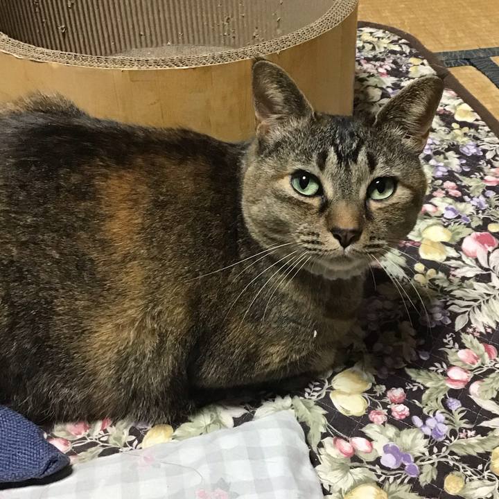 Fe5b69c4 1d57 45c4 83c0 95c1e352bce4 1746183255157