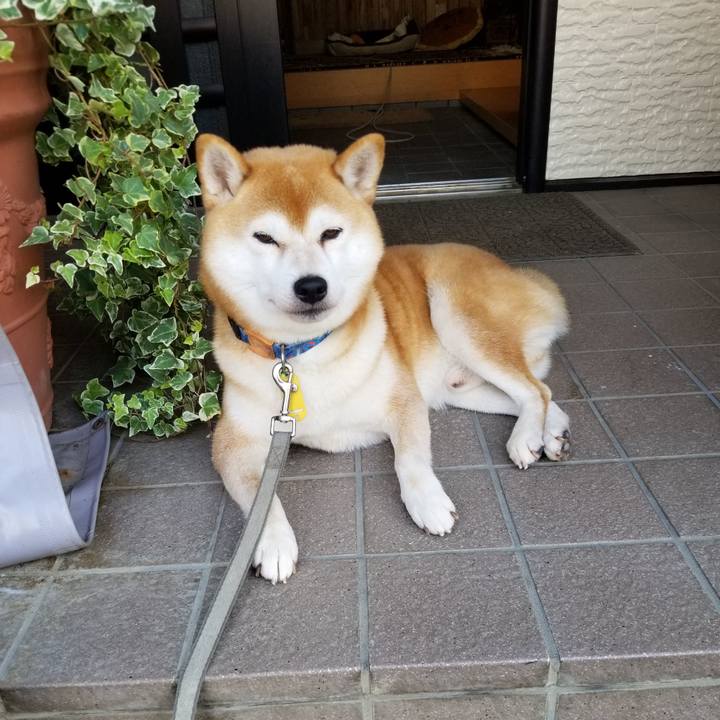 Fe5b7202 f0c5 4f00 b95c a2b7efd02d94 1572392828299