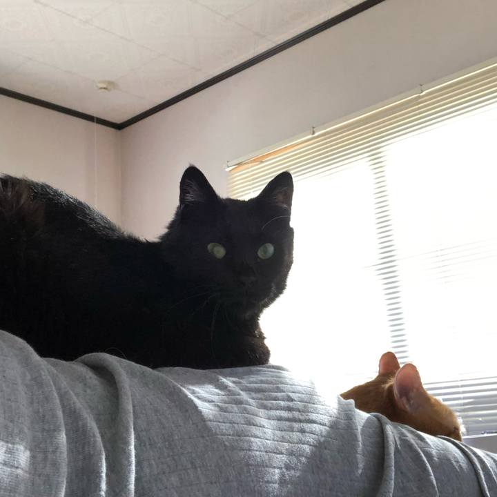 Fe5b9ce9 7a46 429c 911c aca236fab268 1596231283243