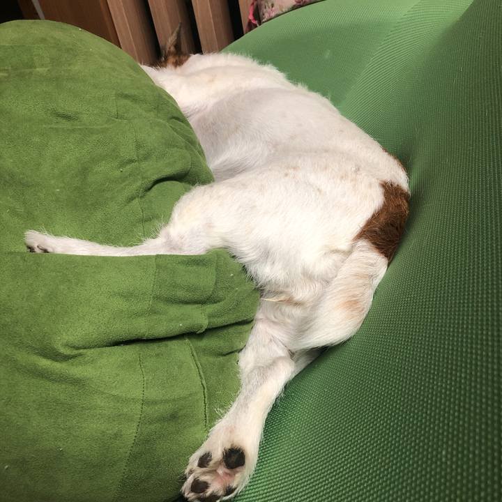 Fe5ba422 c279 4360 93ea 76d1c9eeaca7 1568115924208