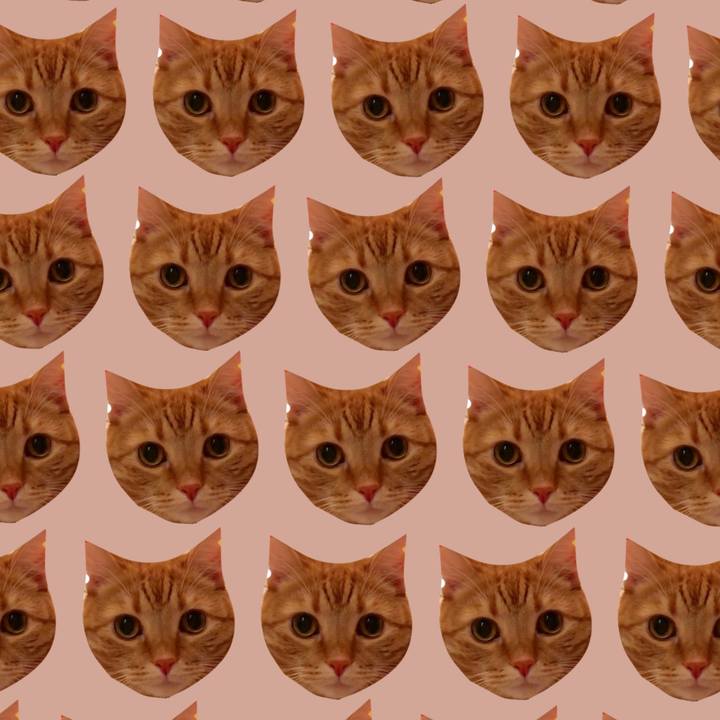 Fe5ba6e0 8878 4f27 aa47 d0d2a926cb04 1558019357787