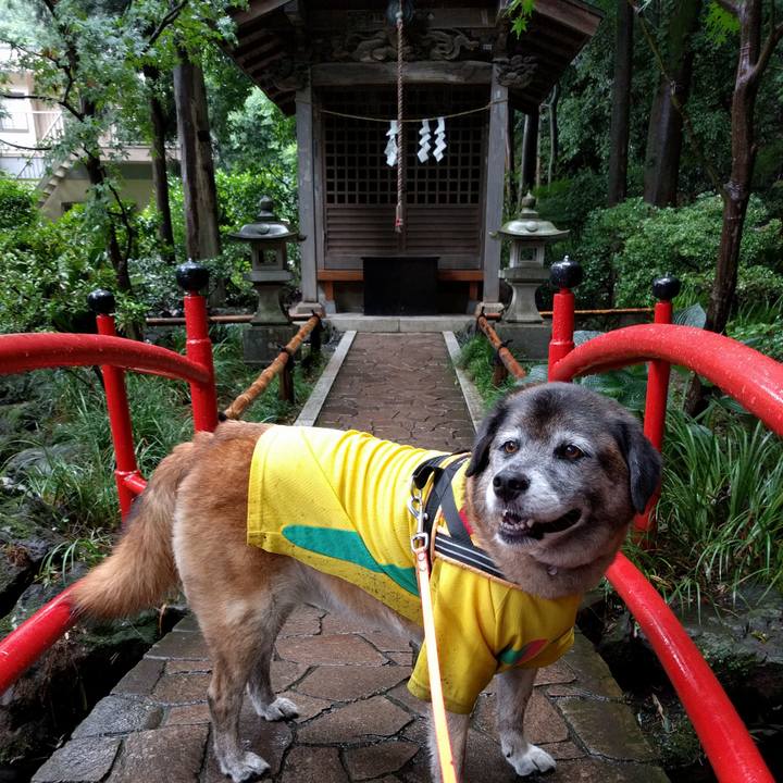 Fe5c1c16 ea85 4128 85ee c91731ce584c 1530835898553