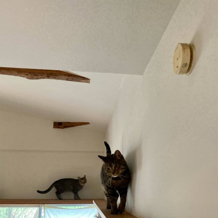 Fe5c25a2 e0f0 44f8 8c1f 9c69c8ef73d7 1685232762230