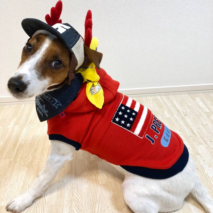 Fe5c3b1c 9724 4dd8 982b 80a9f8a525ec 1541850450786