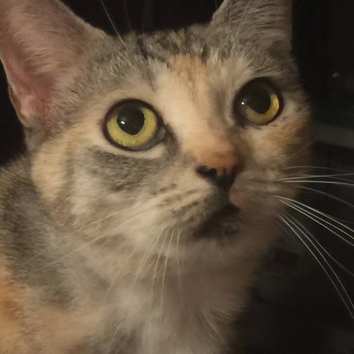 Fe5c751d 75e5 407d 88d9 807b96f2ad0c 1571585967119