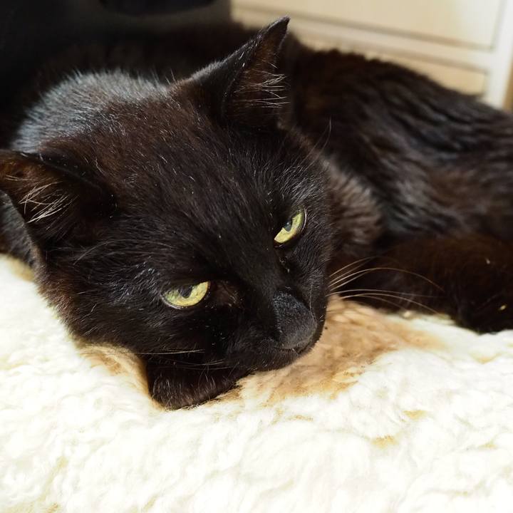 Fe5c7ab3 b447 4ece b551 388e601ed731 1661579686417