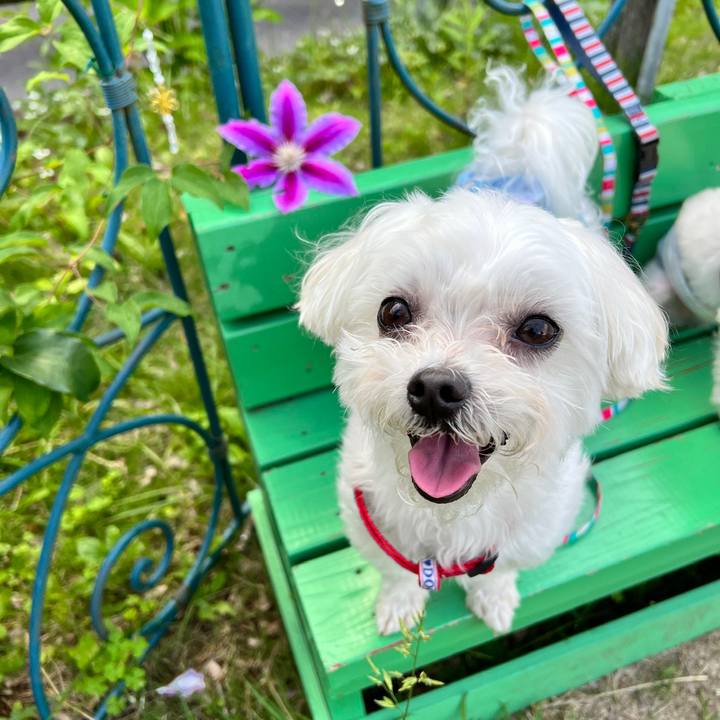 Fe5c8438 c879 44cb 9524 f10660d135d6 1656471143478