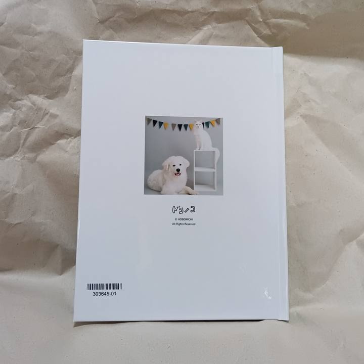 Fe5d1a76 0f9d 4992 907e 8341a28d56d1 1720070760972