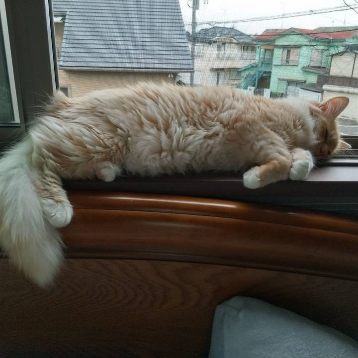 Fe5d2c81 4bff 44e0 9417 77aceb0e0f66 1623581174027