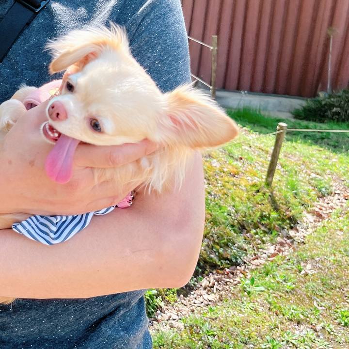 Fe5d3409 9639 48dd 90a0 c8f4bf59e82d 1649578107990