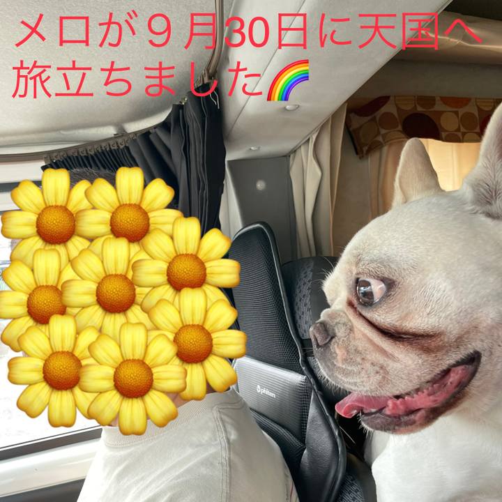 Fe5d467d 9c72 4289 b661 7ae0342f5ca8 1759552329400