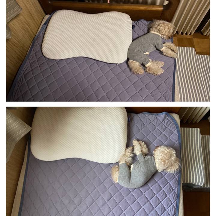 Fe5d490d 84ce 4f53 9455 06b429a499bc 1628599910619