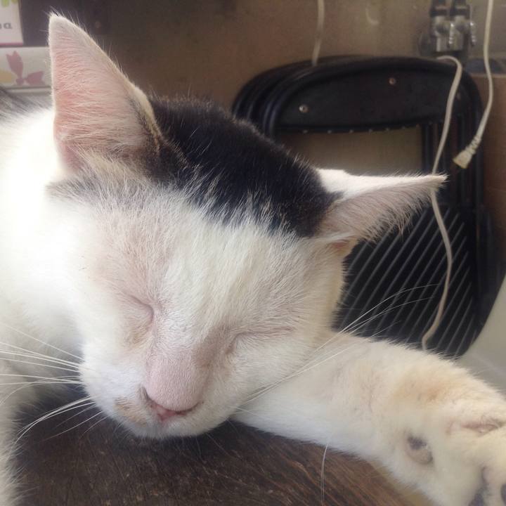 Fe5d5382 8c97 4f32 8c19 1e2e067e4e70 1532962532432