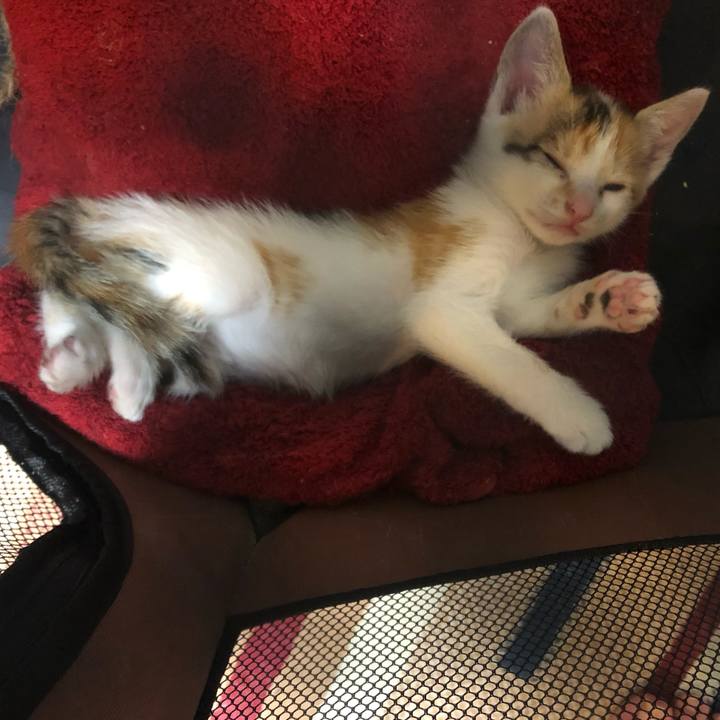 Fe5d9998 639c 47c5 ba5e b41c9f984124 1560436832457