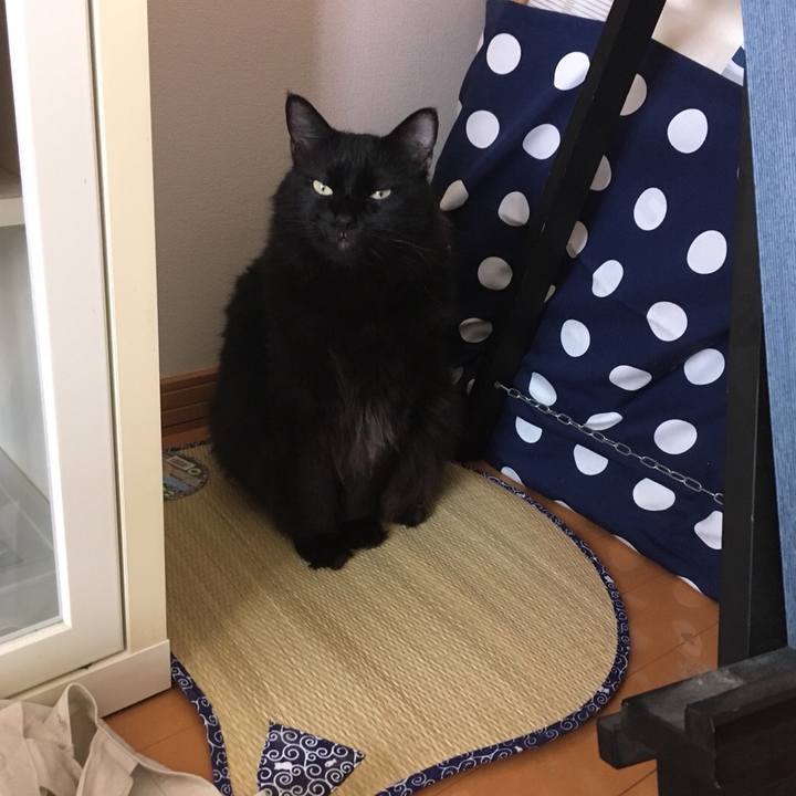 Fe5ddc0b 0e83 45ce 9b22 655fb13dca49 1564573007590