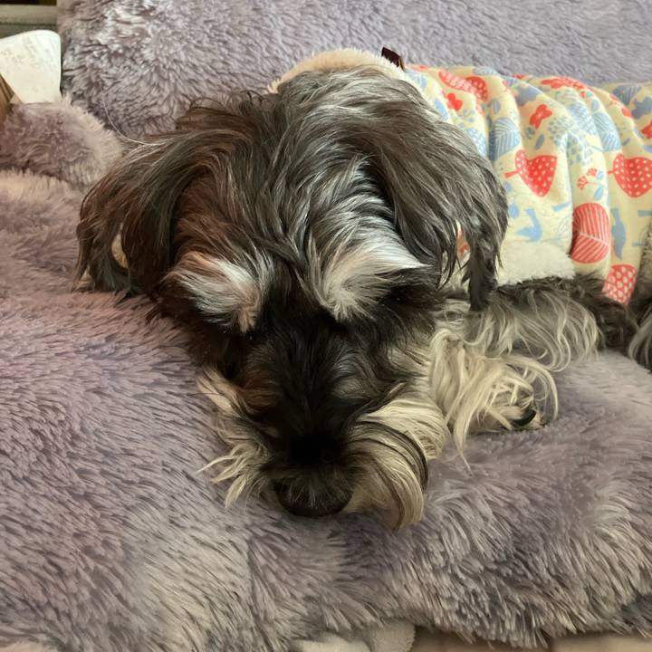 Fe5e8a00 a86d 49a4 b9ac 900eba7aed1b 1773550026213