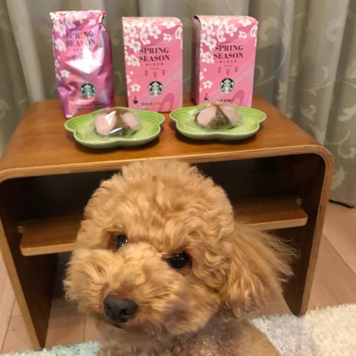 Fe5e91fd b982 4a62 8e27 2fb394d65d87 1519302702674