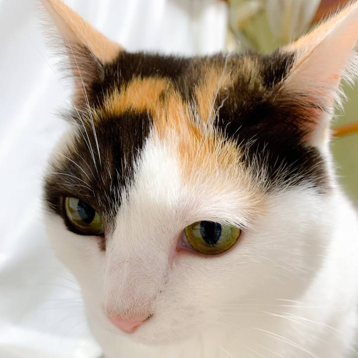 Fe5ee030 2bc0 4598 b05e 9446e9cec7f8 1557538330409