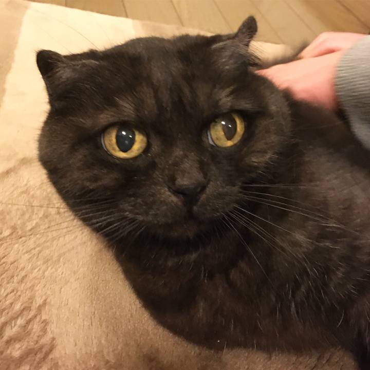 Fe5ef0d7 b196 4207 80e3 23a6ebdea17a 1584725300968