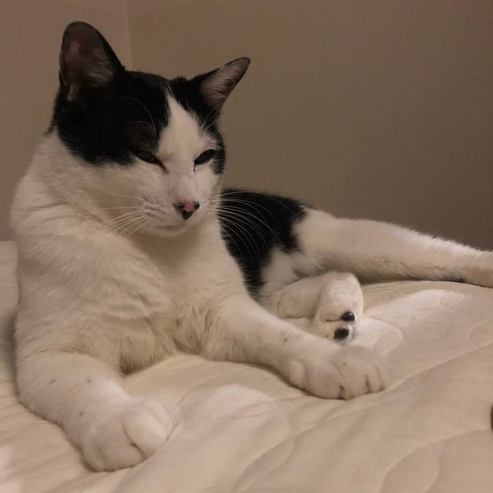 Fe5efb4e b942 4174 82f3 6c737952f21f 1560005411985