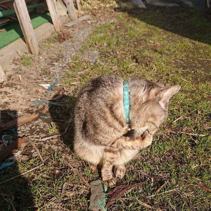 Fe5efc5a 6d2a 4243 86eb da14145d46e6 1551594827771