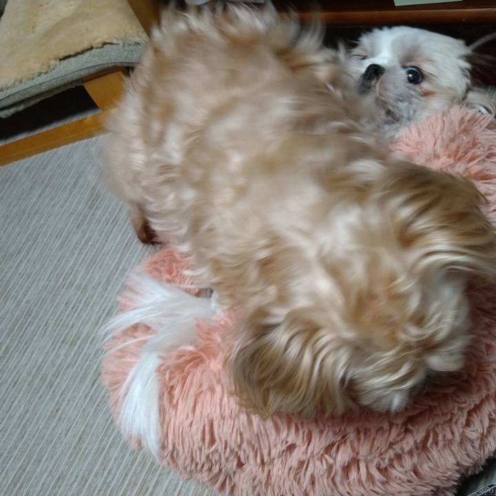 Fe5f2430 2e91 48d0 91f0 838e958402b5 1617458674665