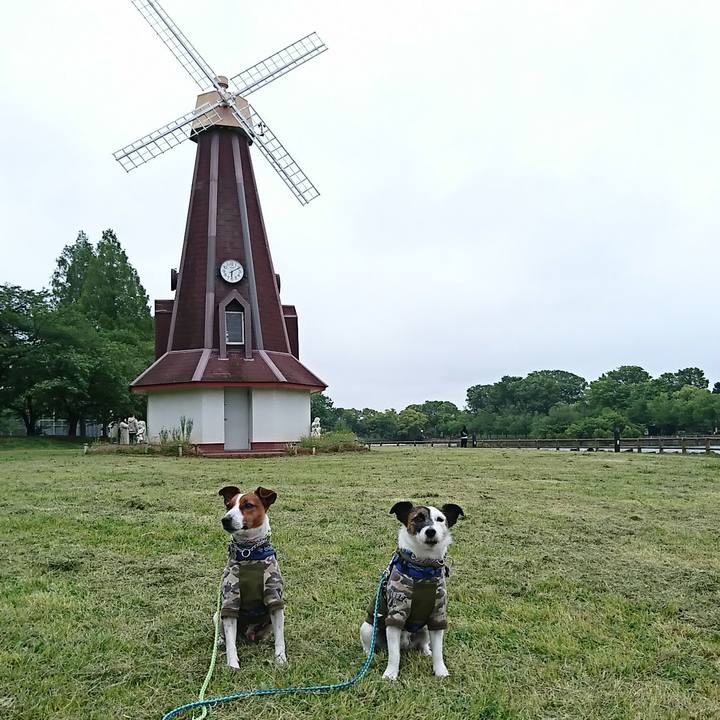 Fe5f38a9 0eaf 4973 b66f c9cc40997d81 1590138955174