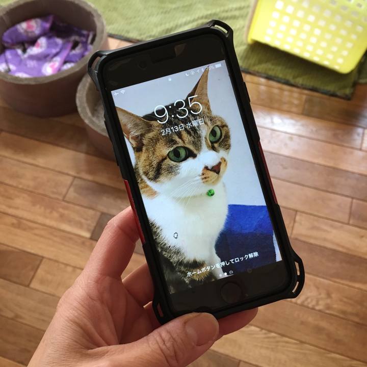 Fe5f7868 c3f4 4945 902a 39911597ad2c 1550018849522