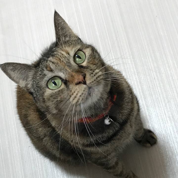 Fe5f8b12 6a6e 441a b004 02a73f30e185 1538894353134