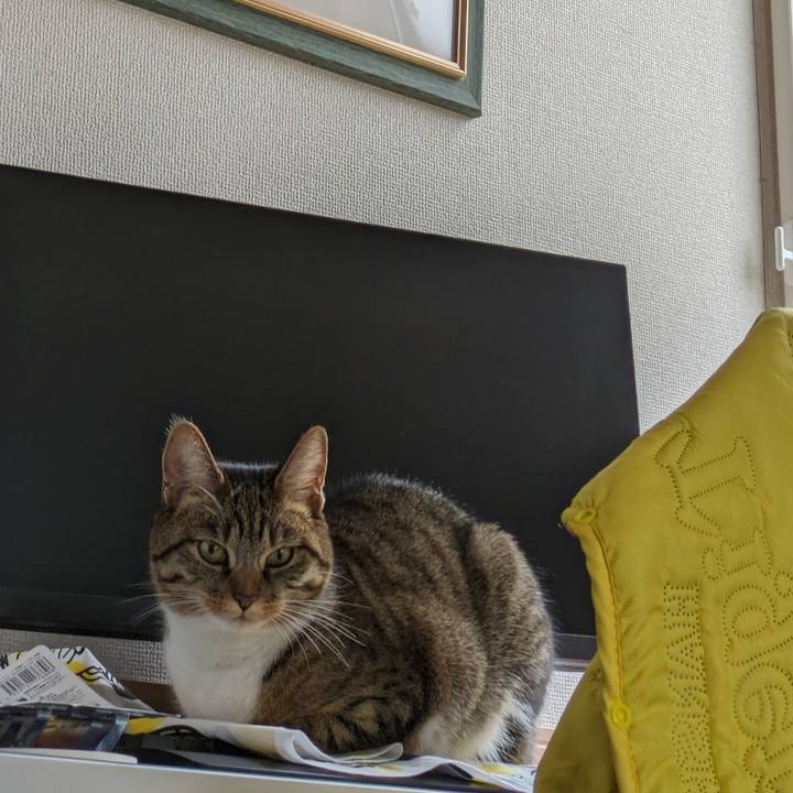 Fe5fb52f 9ff4 4aeb 8570 2bf8f7d5da5c 1701303651362