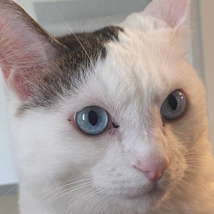 Fe5febe0 d4c1 47ae 863b e0db80e72184 1698503362956