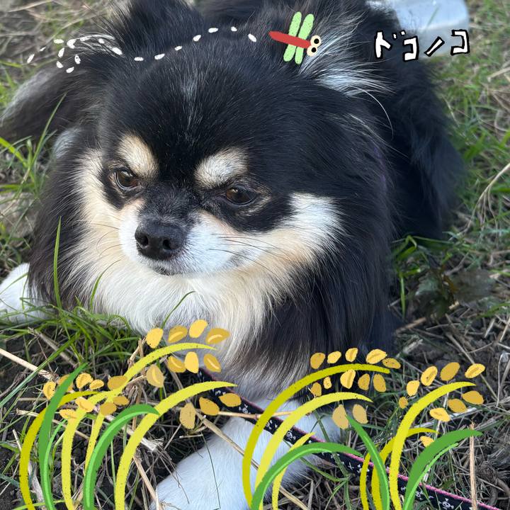 Fe600596 bb8c 40c6 8a3a 9bd1e101d65c 1761964884890