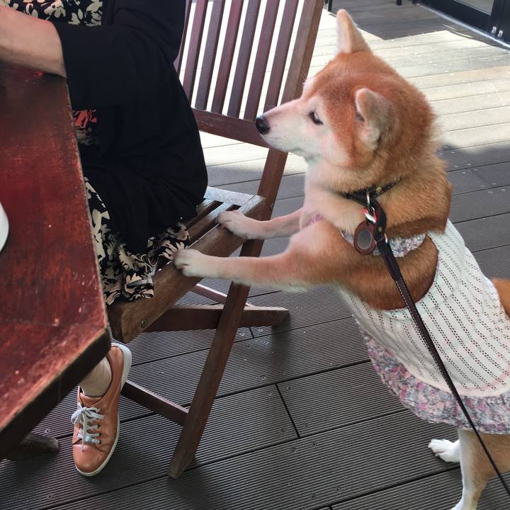 Fe6041c3 e4ca 4db8 b11d c3f034bacbf8 1525067563853