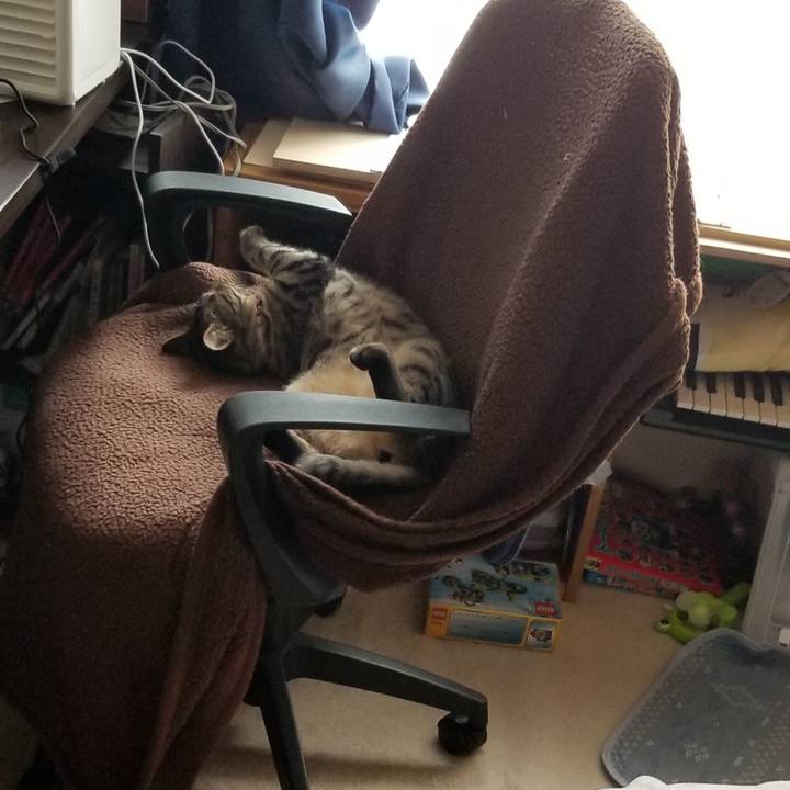 Fe60721a 7e44 431d b9d1 162be03994a8 1687530596254