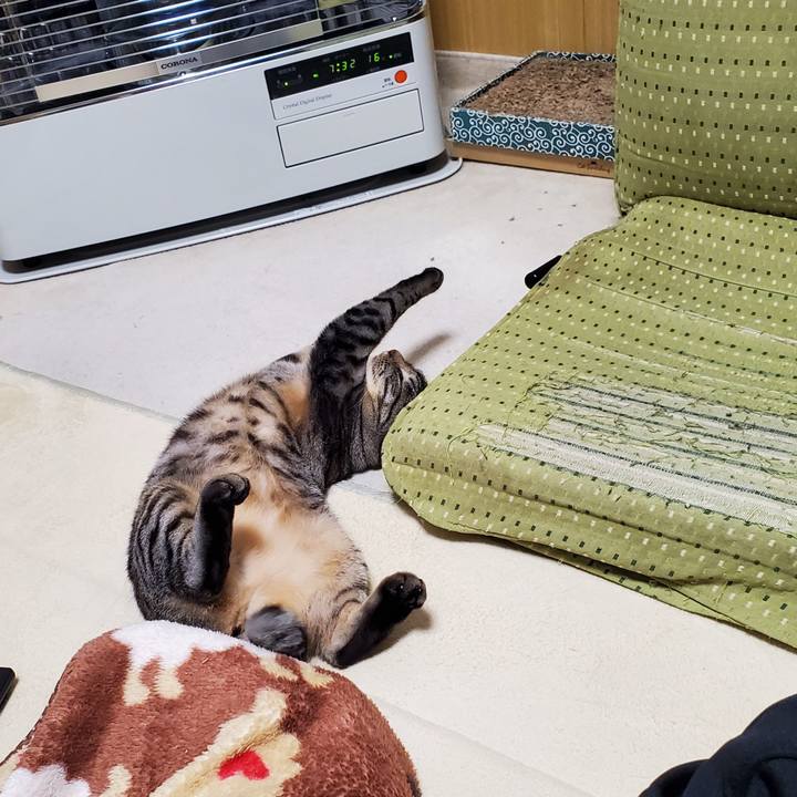 Fe60a604 ab84 435a b4a6 720d1533f2b1 1699891210225