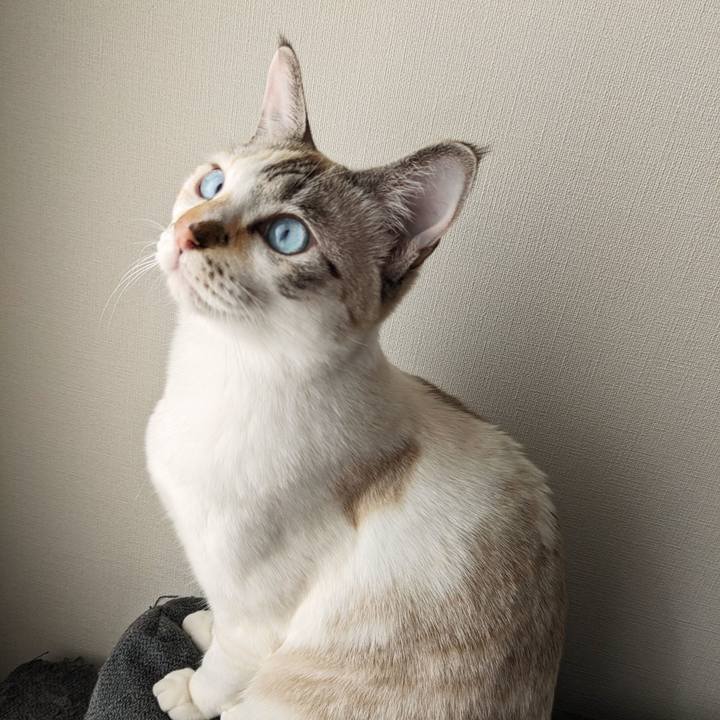 Fe60bf34 1398 4675 a8bb 5e7fdb977fa6 1708227227941