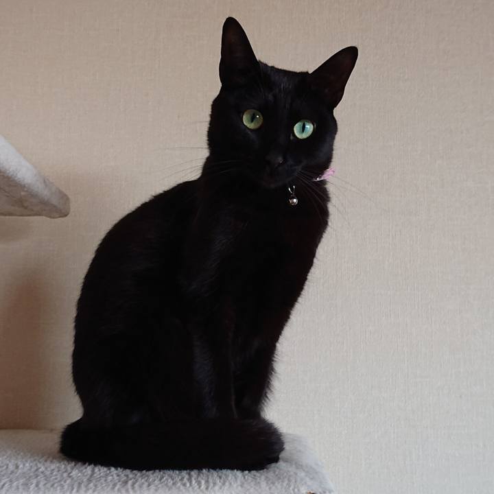 Fe60c4bc 5b03 437a 973e 136e72626ac0 1555975632568