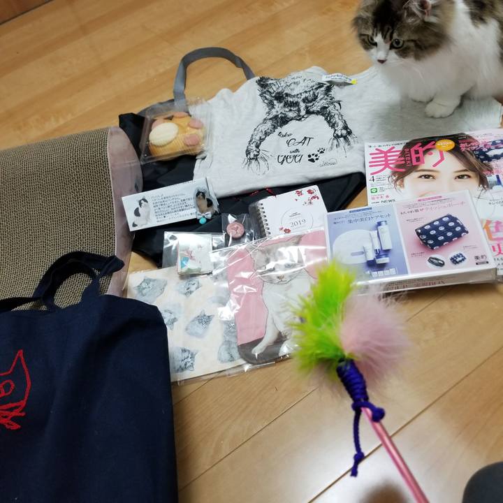 Fe61118b b008 4fa7 9b94 e9d53b66ebd5 1550999599691