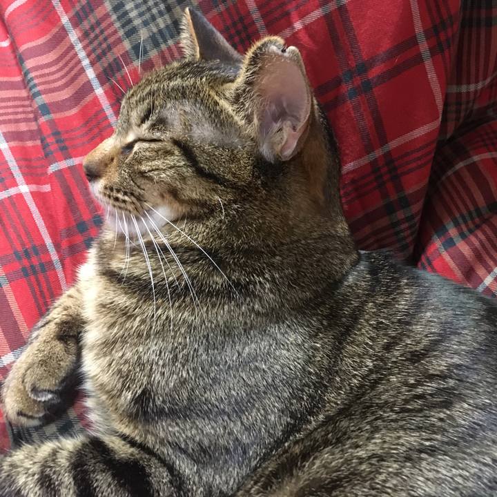 Fe611238 d222 474d becd 2b6e442b2ddb 1579431616662